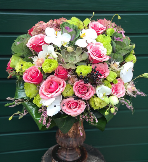 Elegant Rose Elegant Rose