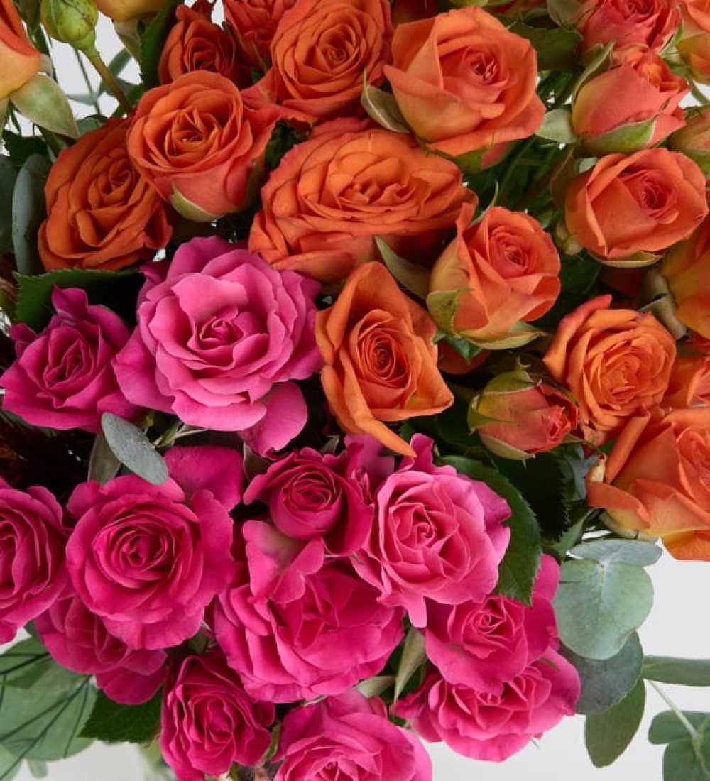 Çizgili Cam Vazoda Pembe ve Turuncu Çardak Güller