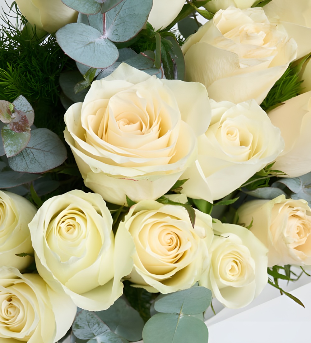 Kraft Buket Kağıdında 20'li Beyaz Gül Buketi