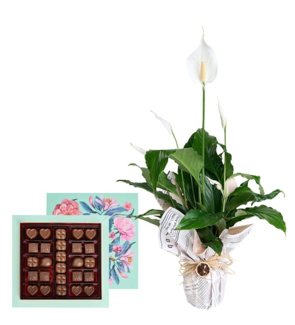 Paşabahçe Vazoda 9'lu Kırmızı Gül